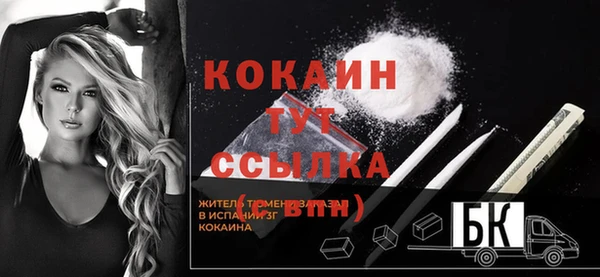 МДПВ Няндома