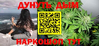 дживик Бийск