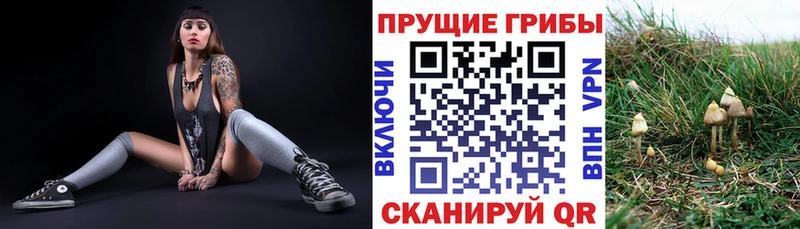 Галлюциногенные грибы MAGIC MUSHROOMS Торжок