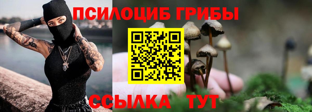 Псилоцибиновые грибы Cubensis  Вход с VPN  Торжок 